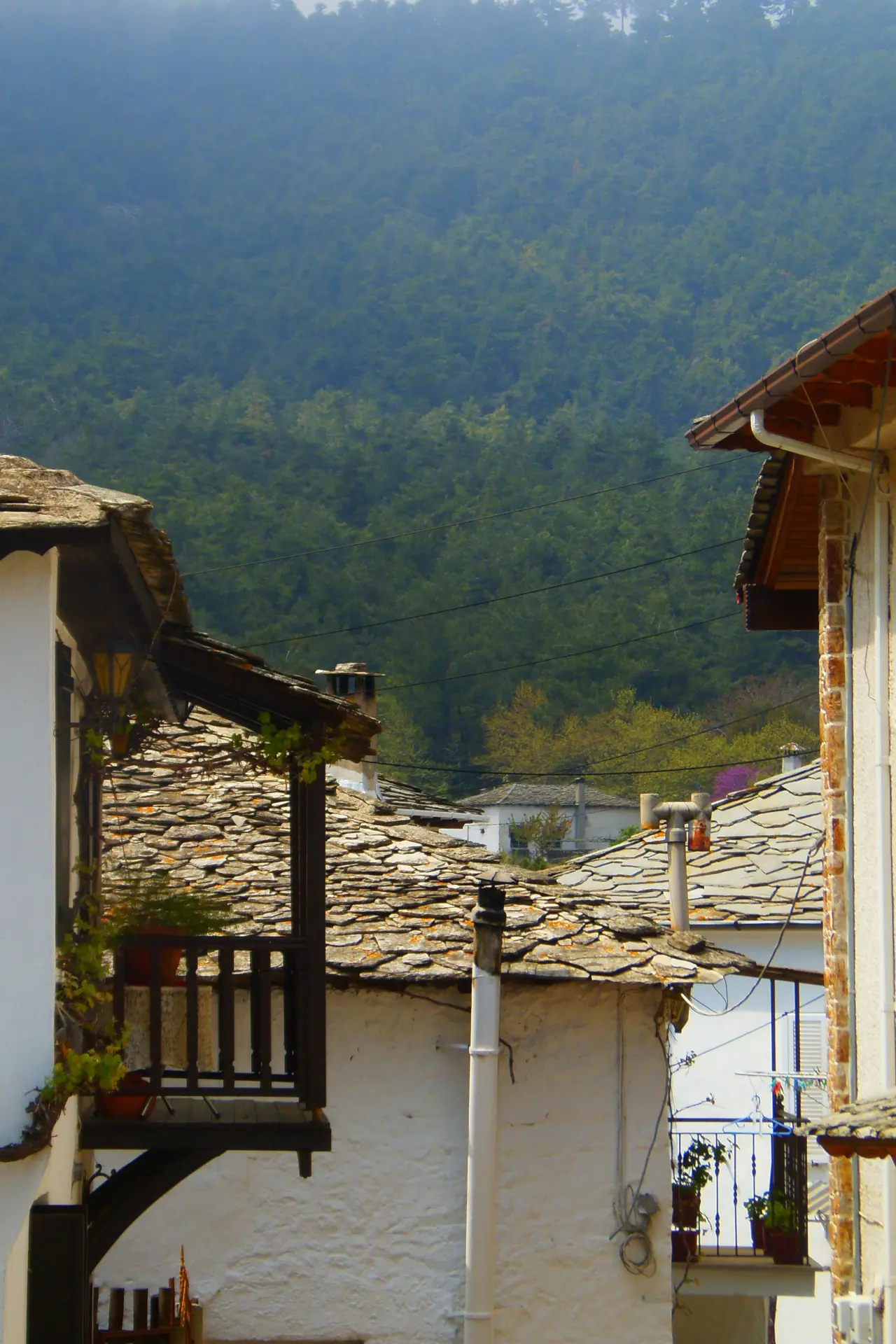 Culture & Mountain Traditions