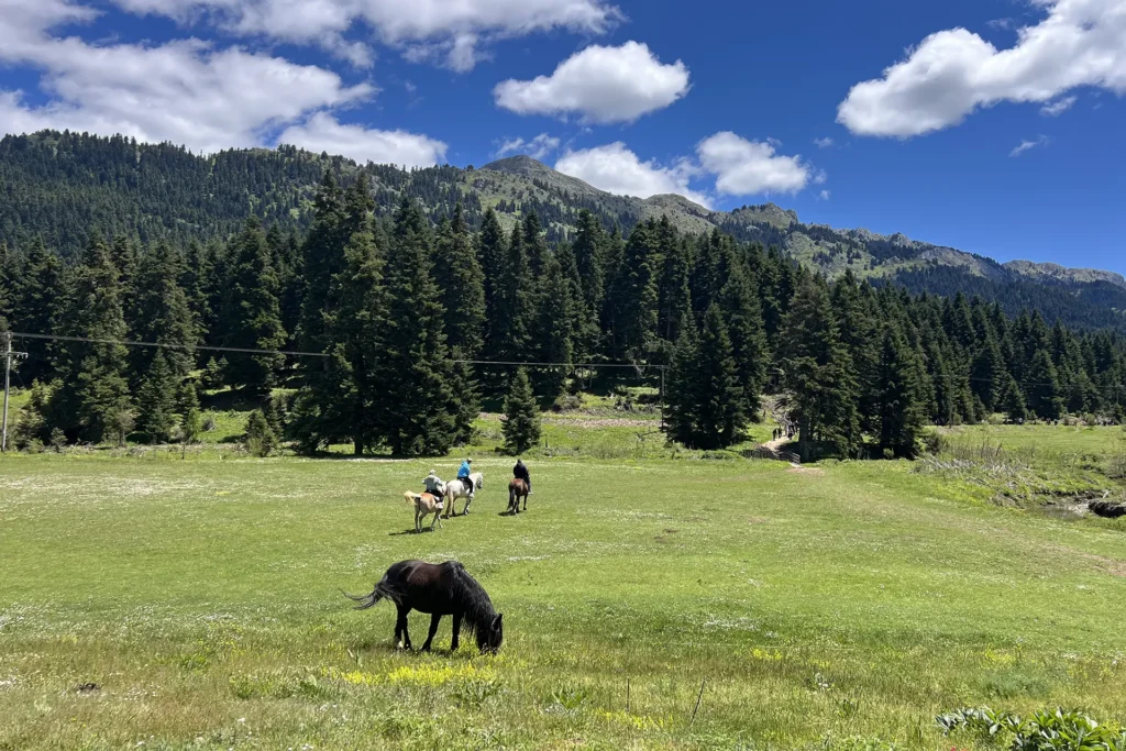 Pertouli Tours and Activities