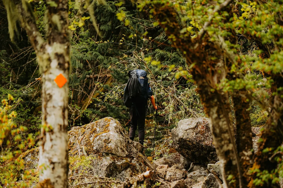 Pertouli Hiking