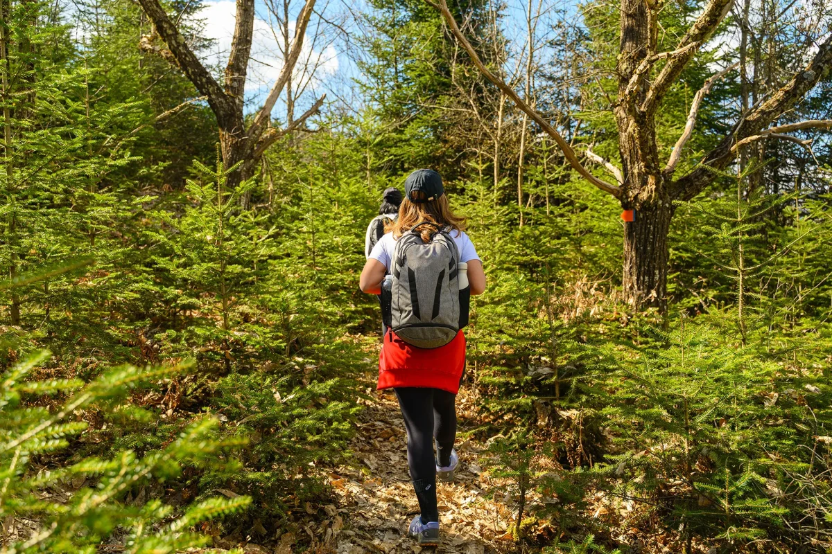 Pertouli Hiking