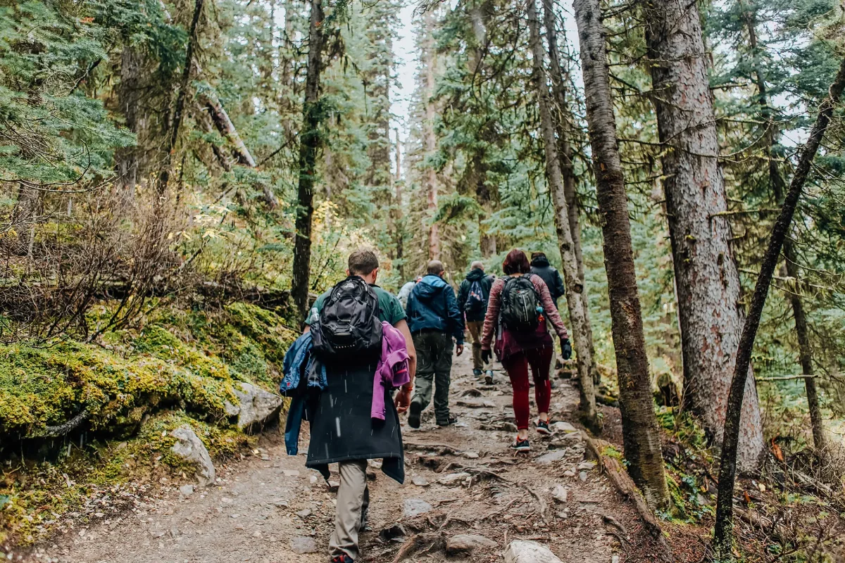 Pertouli Hiking